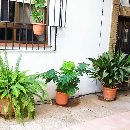 Appartement El Balcon De San Pablo *
